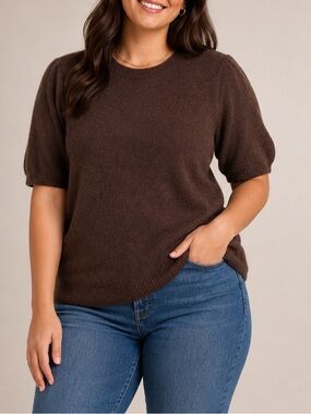 Peck & Peck Brown Short-Sleeve Wool Sweater juniors XL